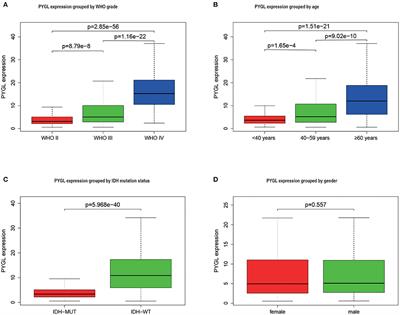 High PYGL Expression Predicts Poor Prognosis in Human Gliomas